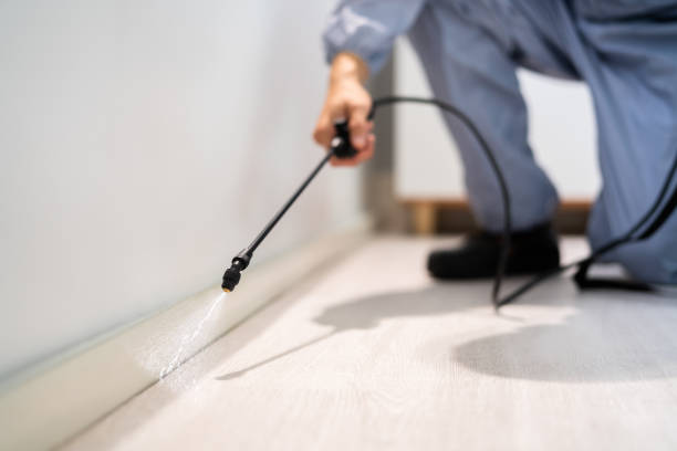 Bed Bug Pre-Treatment Preparation Assessment in Alum Rock