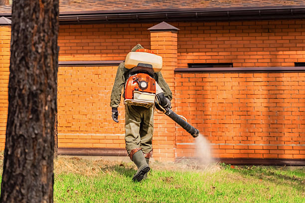 Bed Bug Clearance Verification and Documentation in Alum Rock